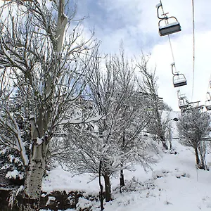 Surynieve Zona Media Apartamento